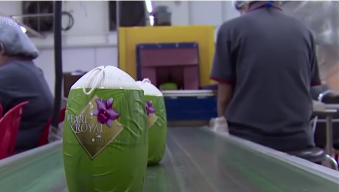 فيديو : في تايلند مادة بديلة عن البلاستيك صديقة للبيئة