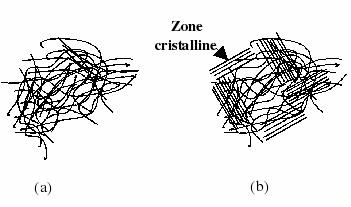 Structure intermoléculaire : amorphe et semi cristalline
